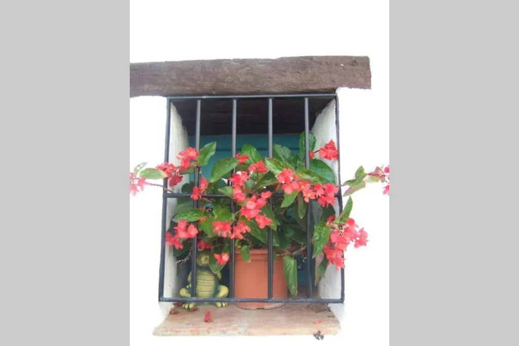 Casa Rosa, Con Encanto Y Piscina Climatizada 프리질리아나 0*,  스페인
